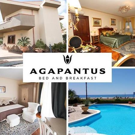 Agapantus Bed & Breakfast Bed & Breakfast Diamante Ngoại thất bức ảnh