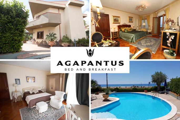 Agapantus Bed & Breakfast Bed & Breakfast Diamante Ngoại thất bức ảnh